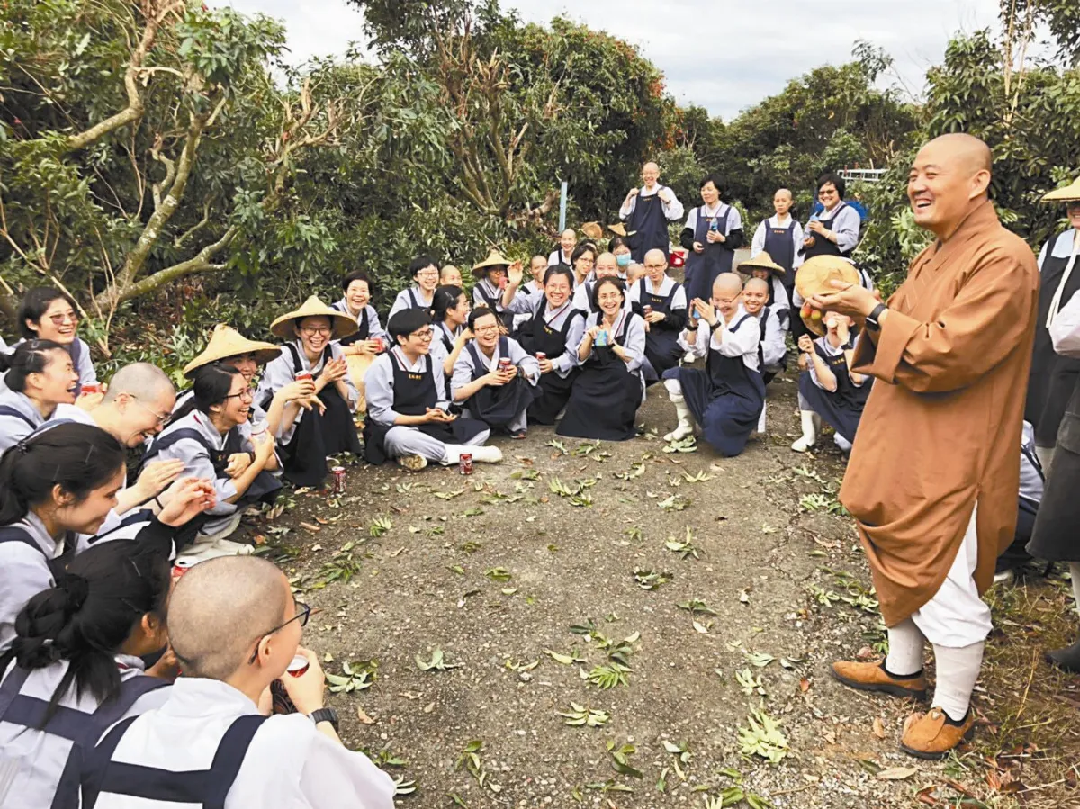 叢林風光叢林出普坡荔枝結歡喜緣