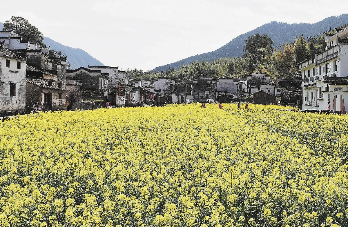 隨堂開示錄-講座論壇 22生命四階段4-3