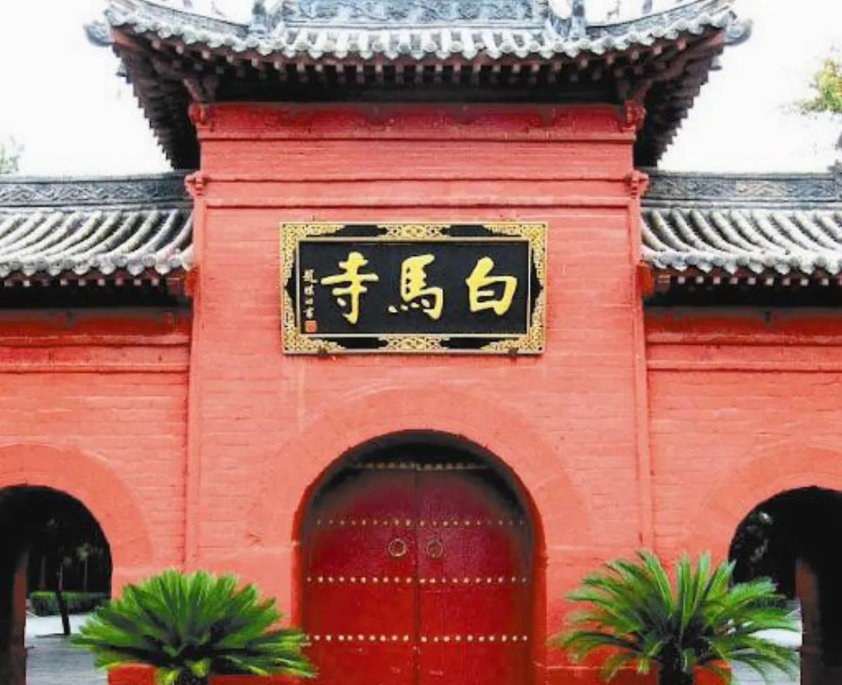 回首洛陽之路