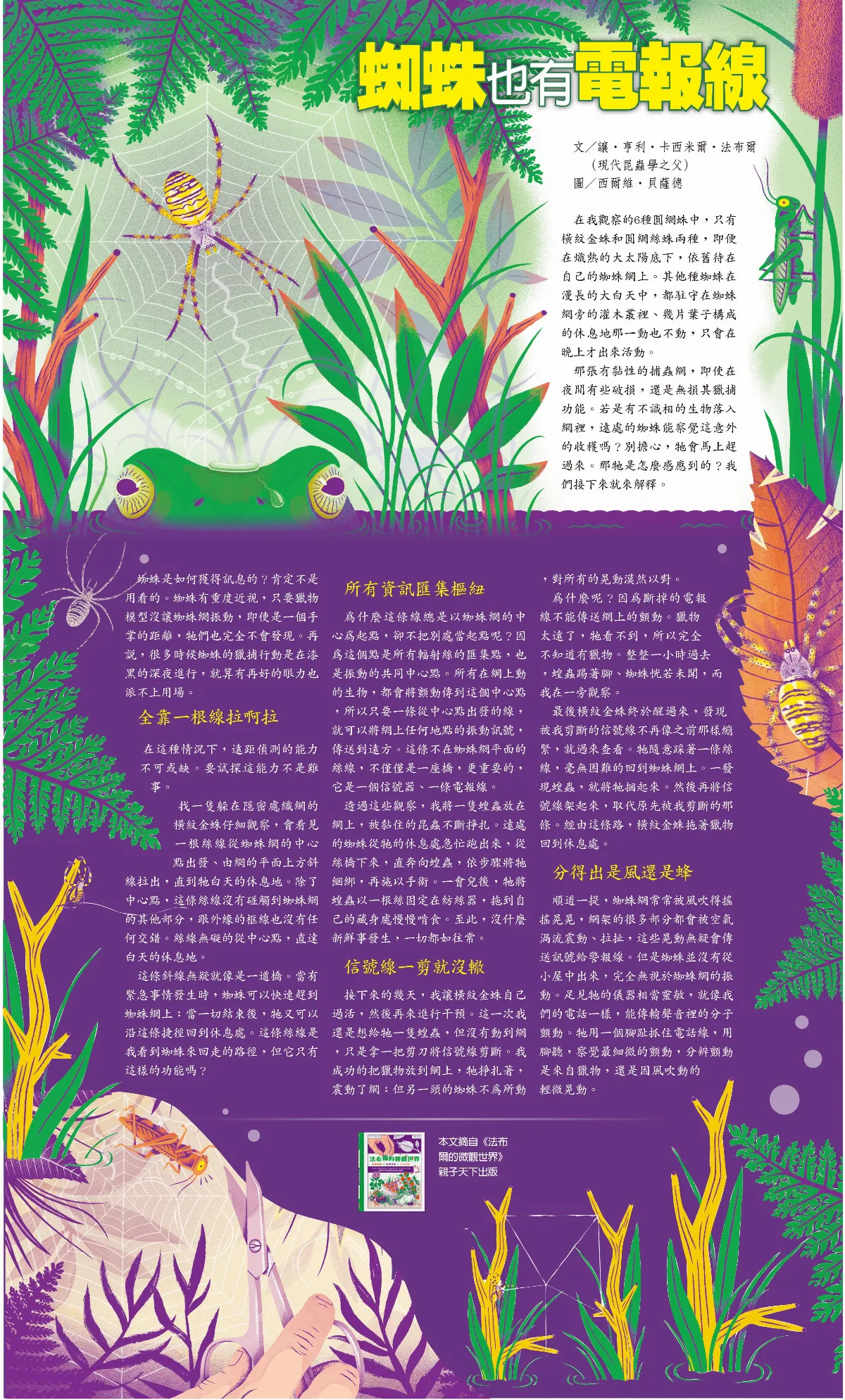 蜘蛛也有電報線