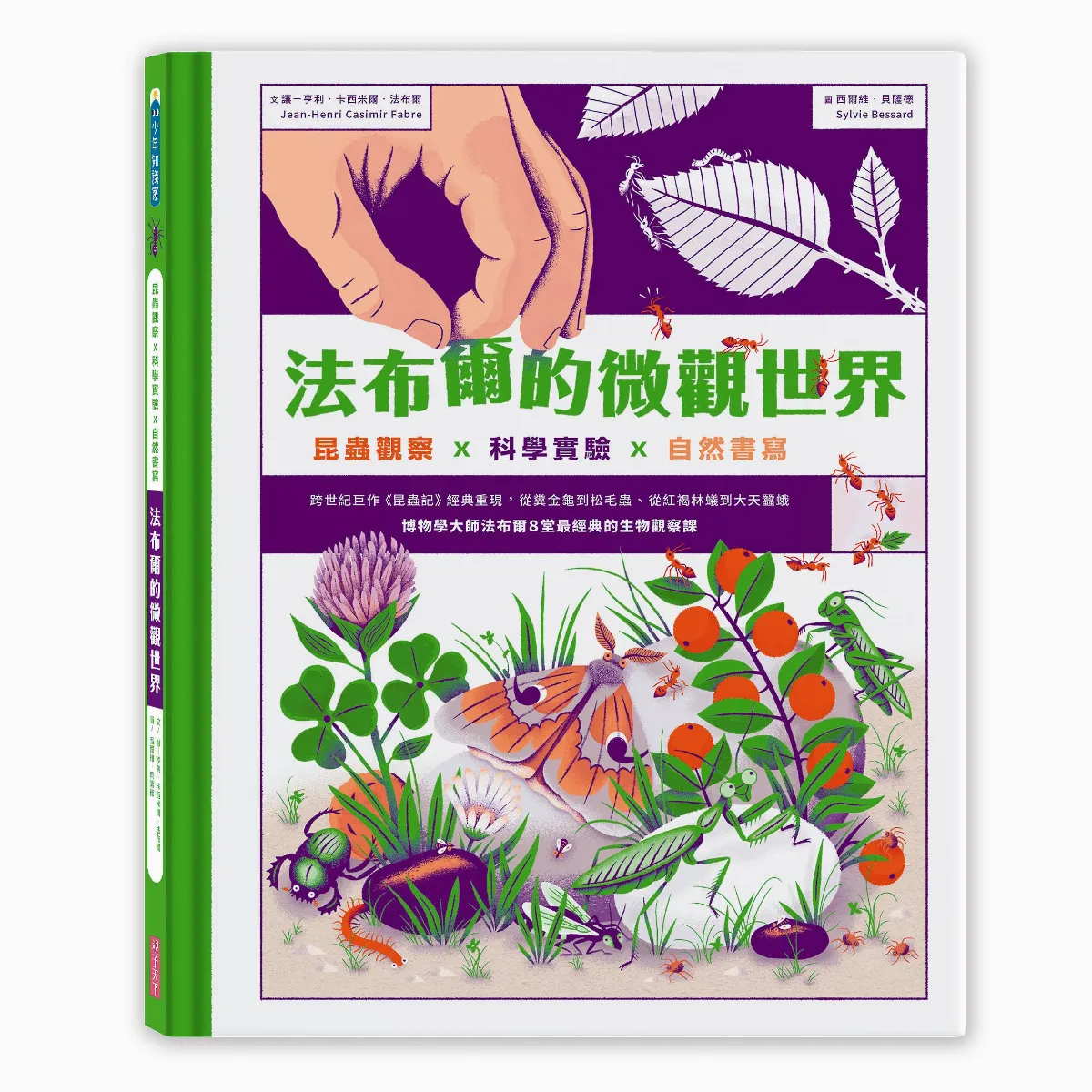 蜘蛛也有電報線