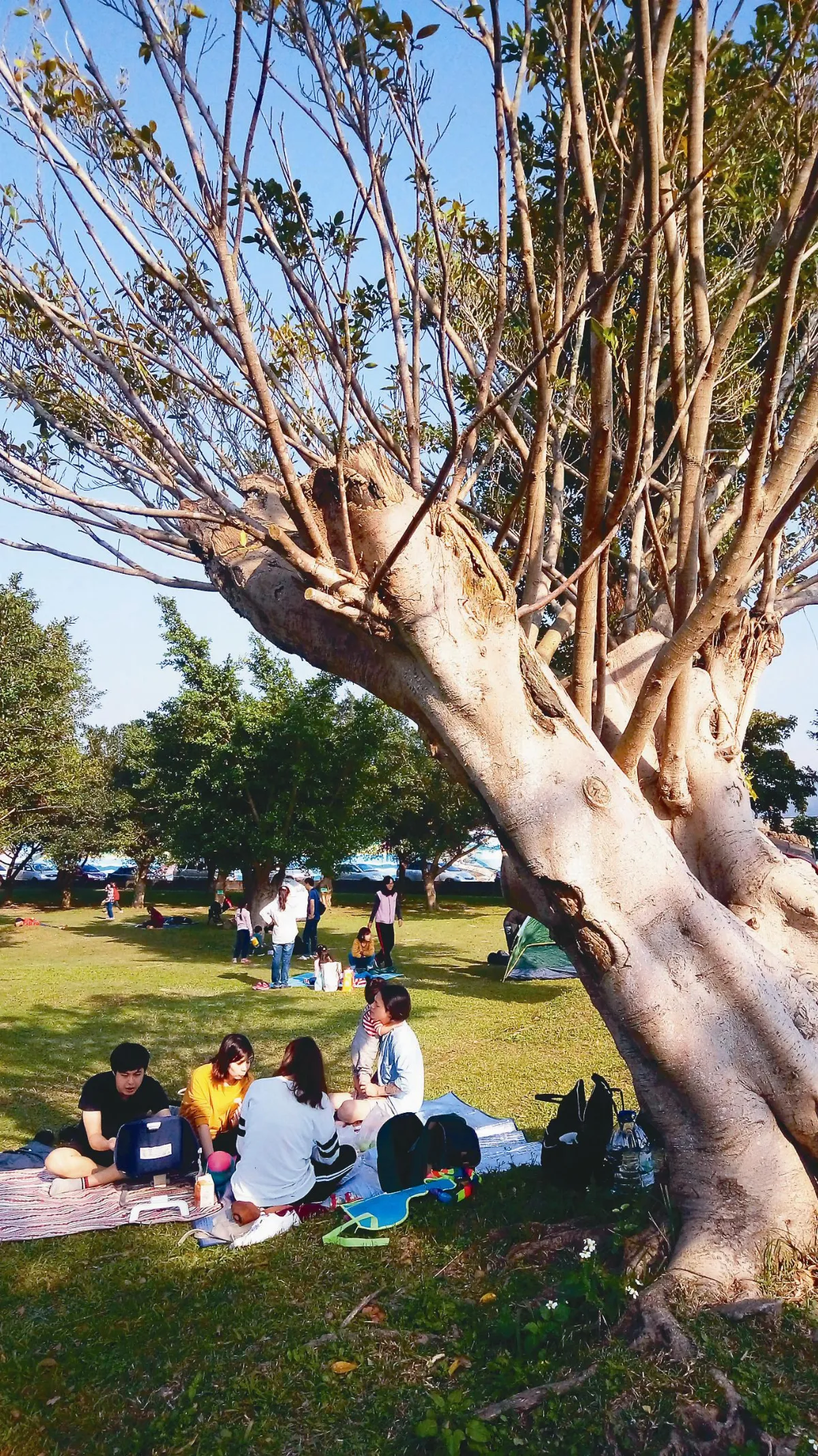 三坑生態園林木遮陽 湖水生風