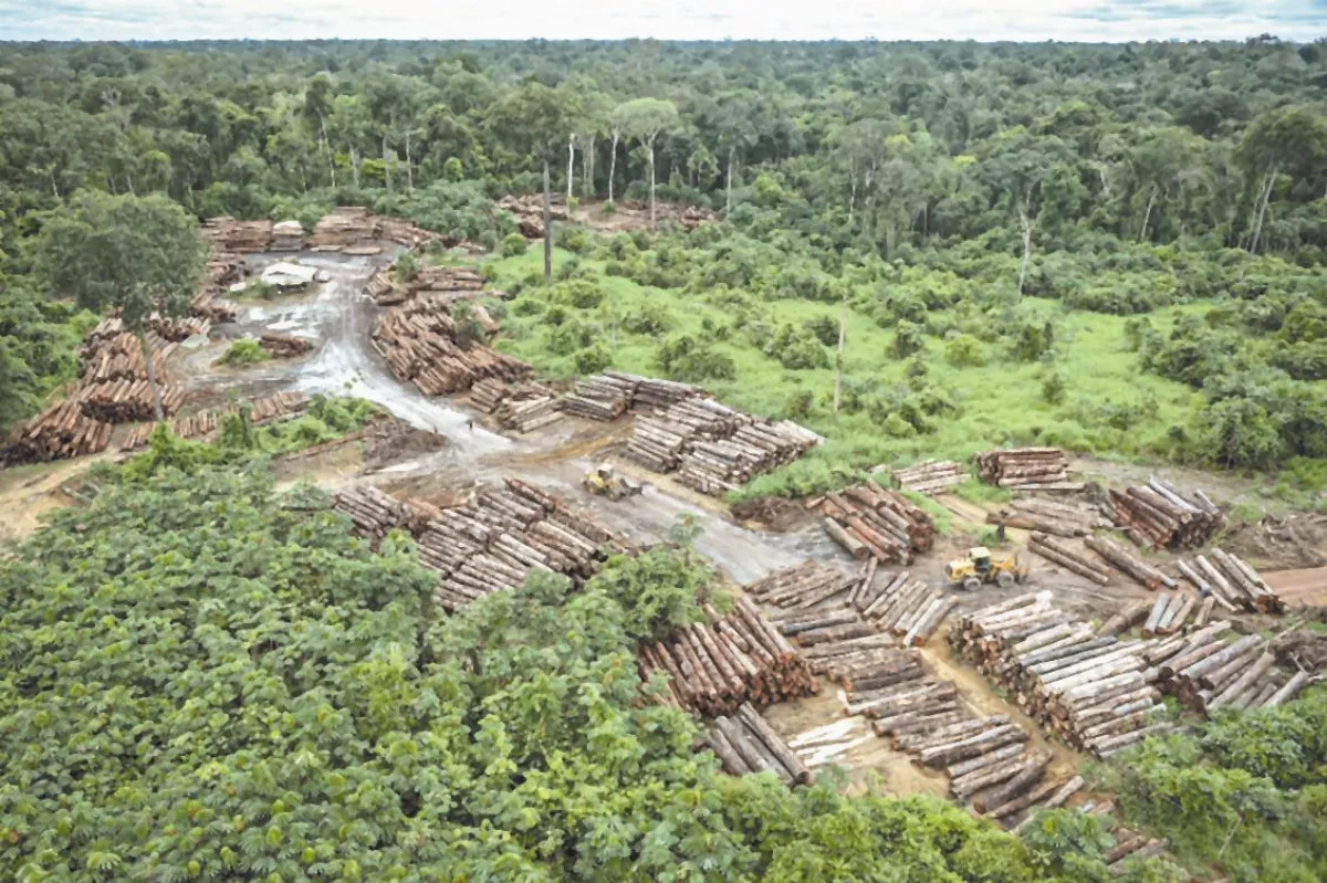 寰宇新聞 一周回顧