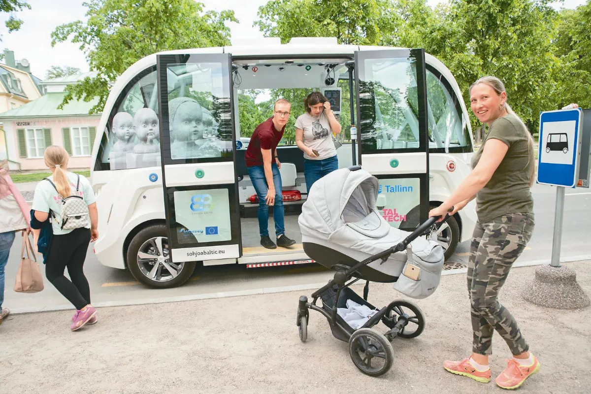 自駕小巴 鮮體驗