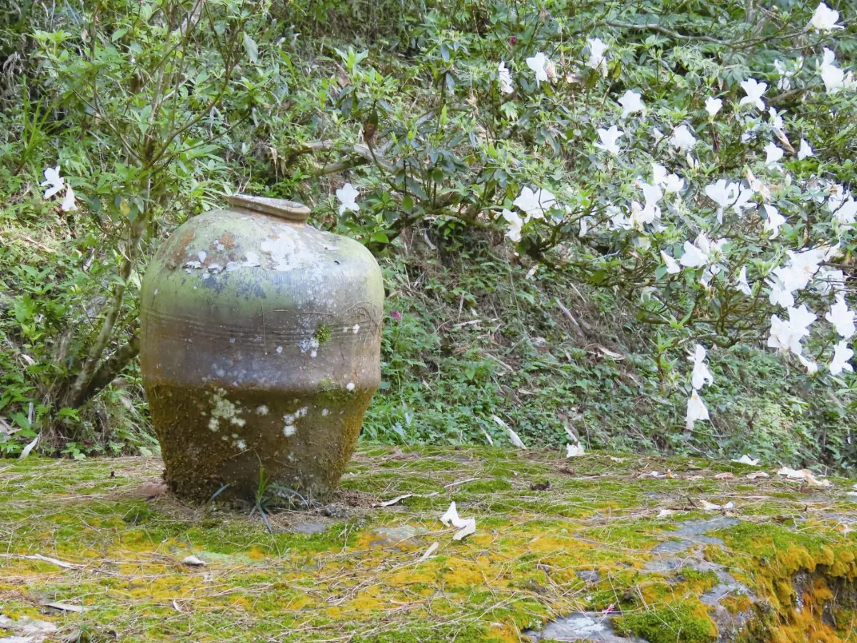 山村生活   甕裡一片海洋