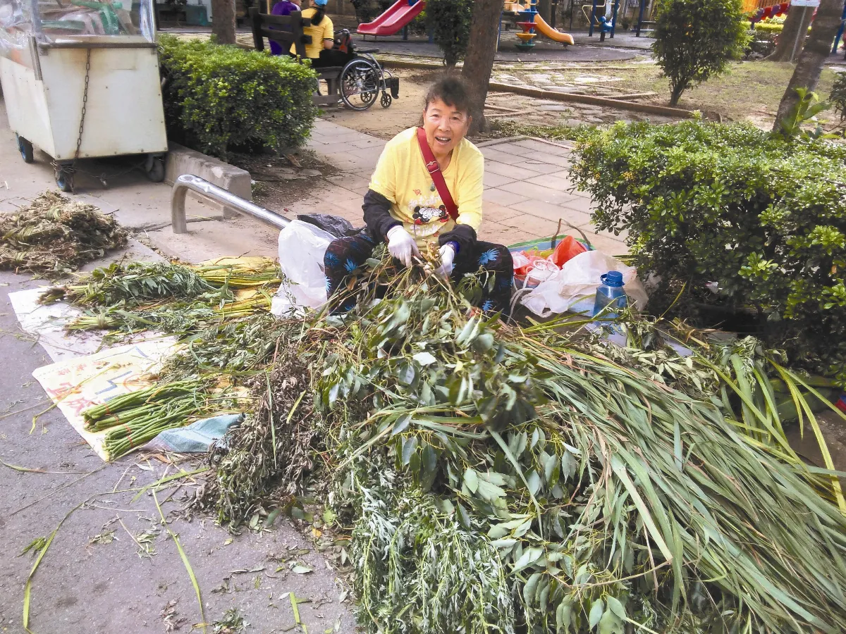【佳節瑣談】端午三友