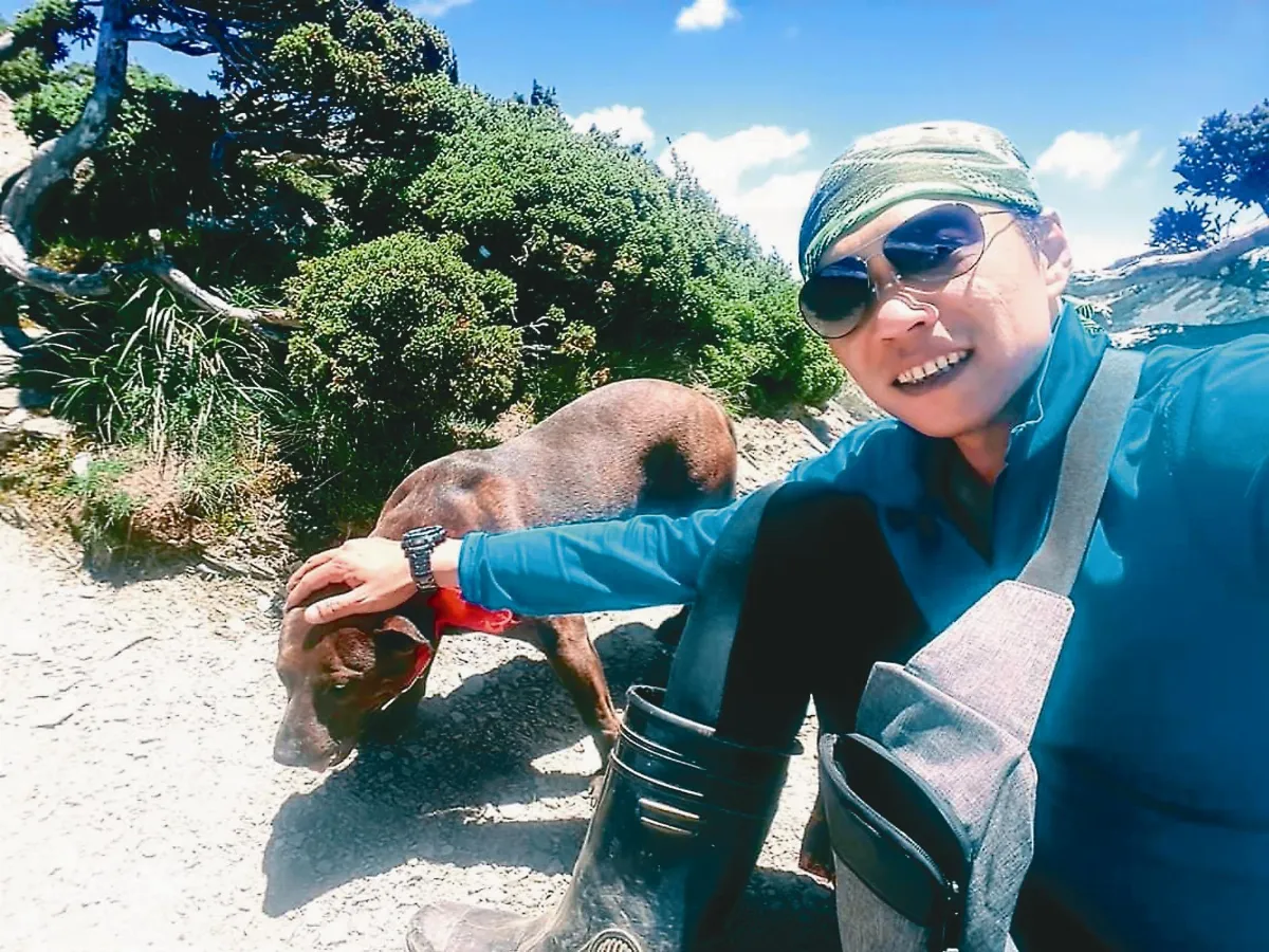 愛在3500公尺 受虐犬浪跡高山 山友搏感情引導