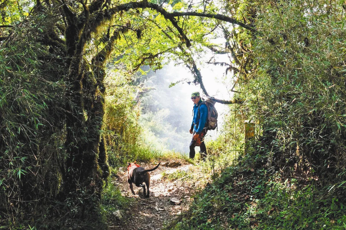 阿鴻神救援  南湖小花花下山了