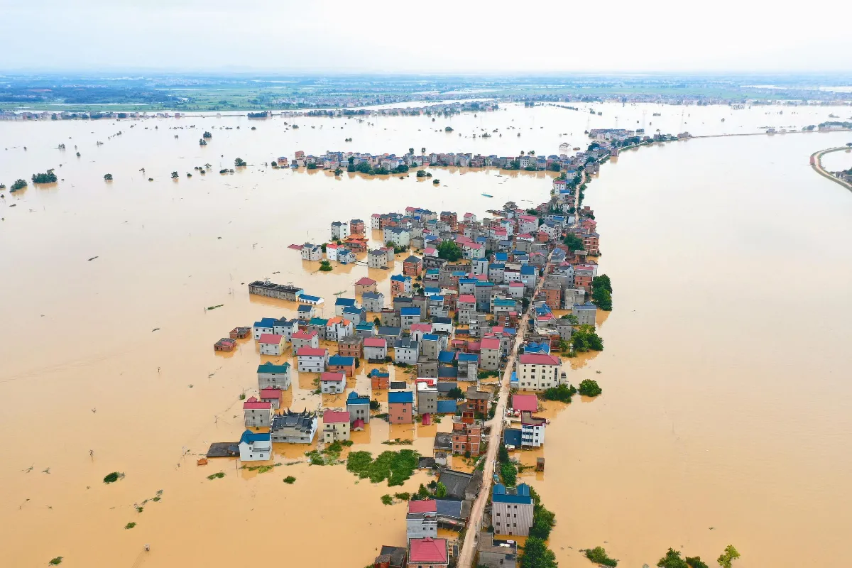 江洲喚遊子 回鄉抗洪澇