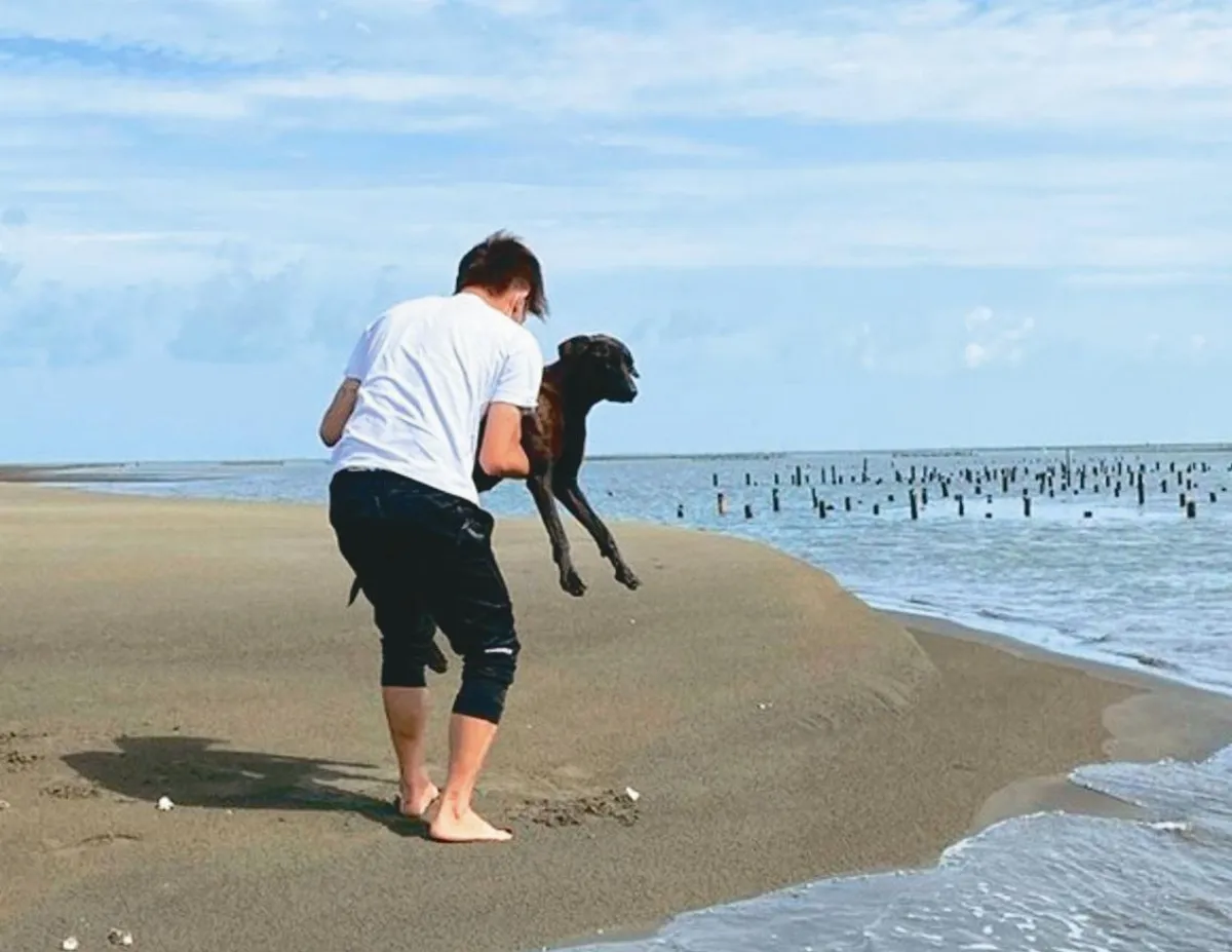 浪浪受困外傘頂洲  援救送醫