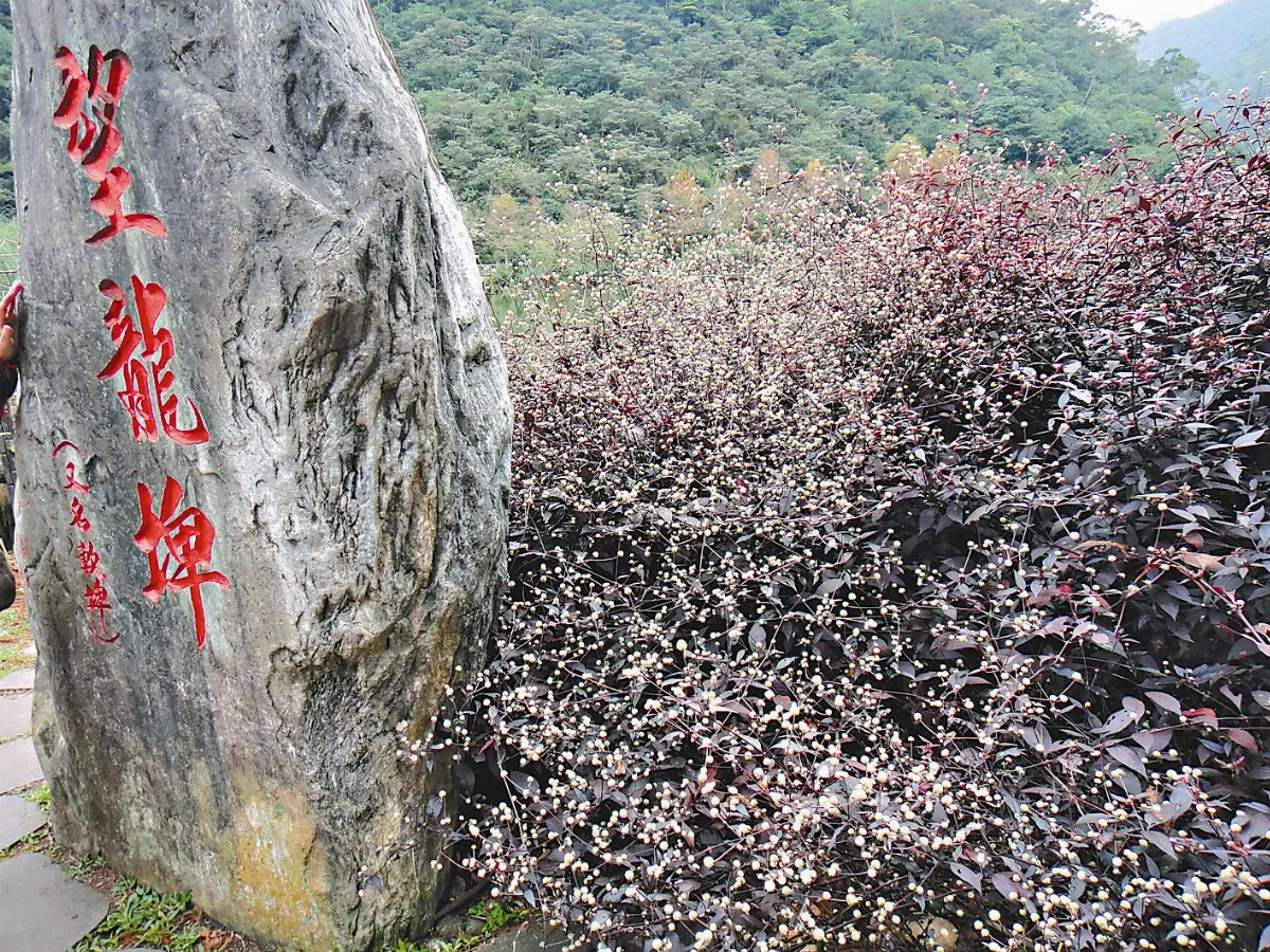 印象旅人  望龍埤的湖光山色
