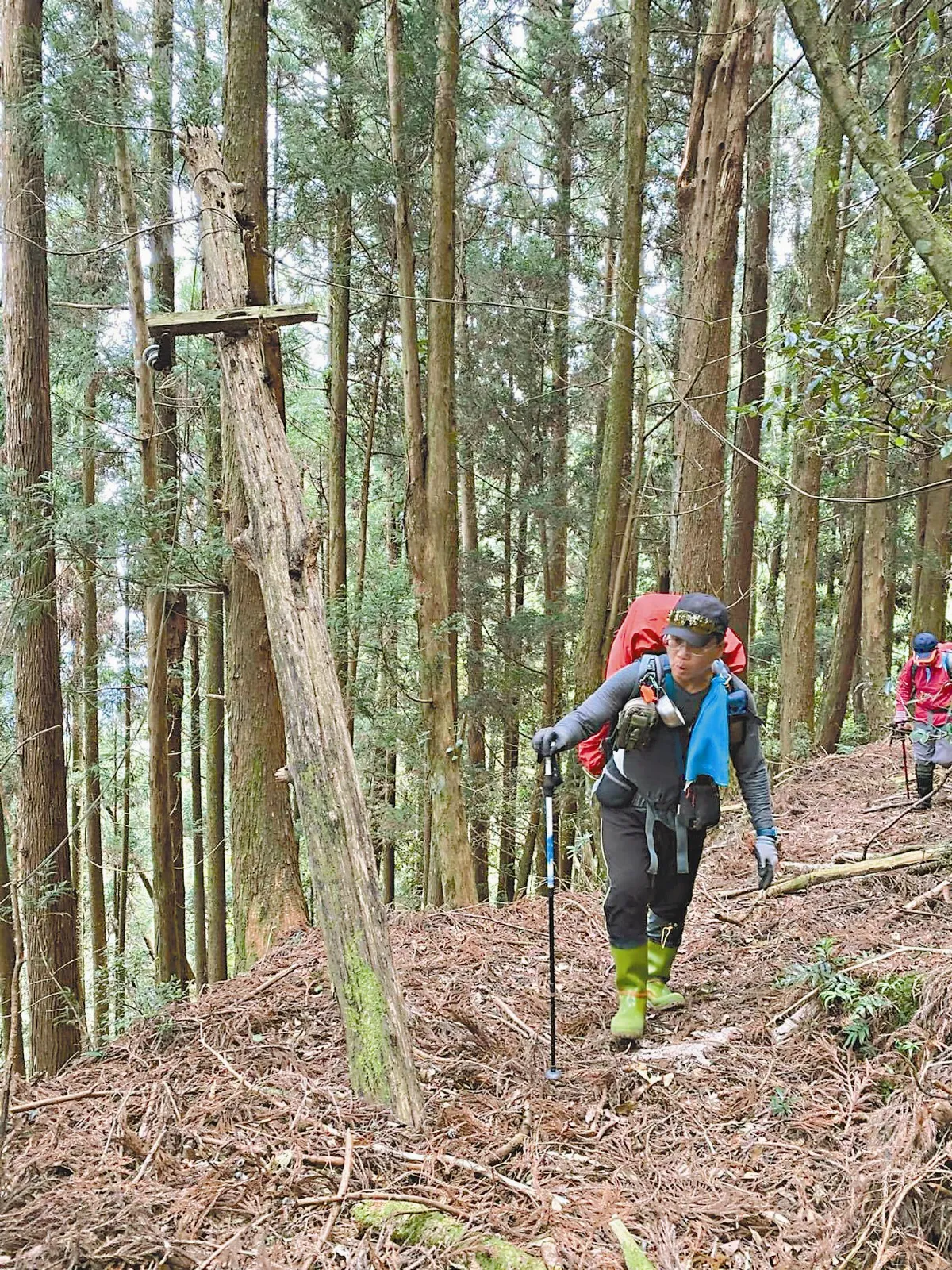 登山開路 他為同好掛6萬路牌