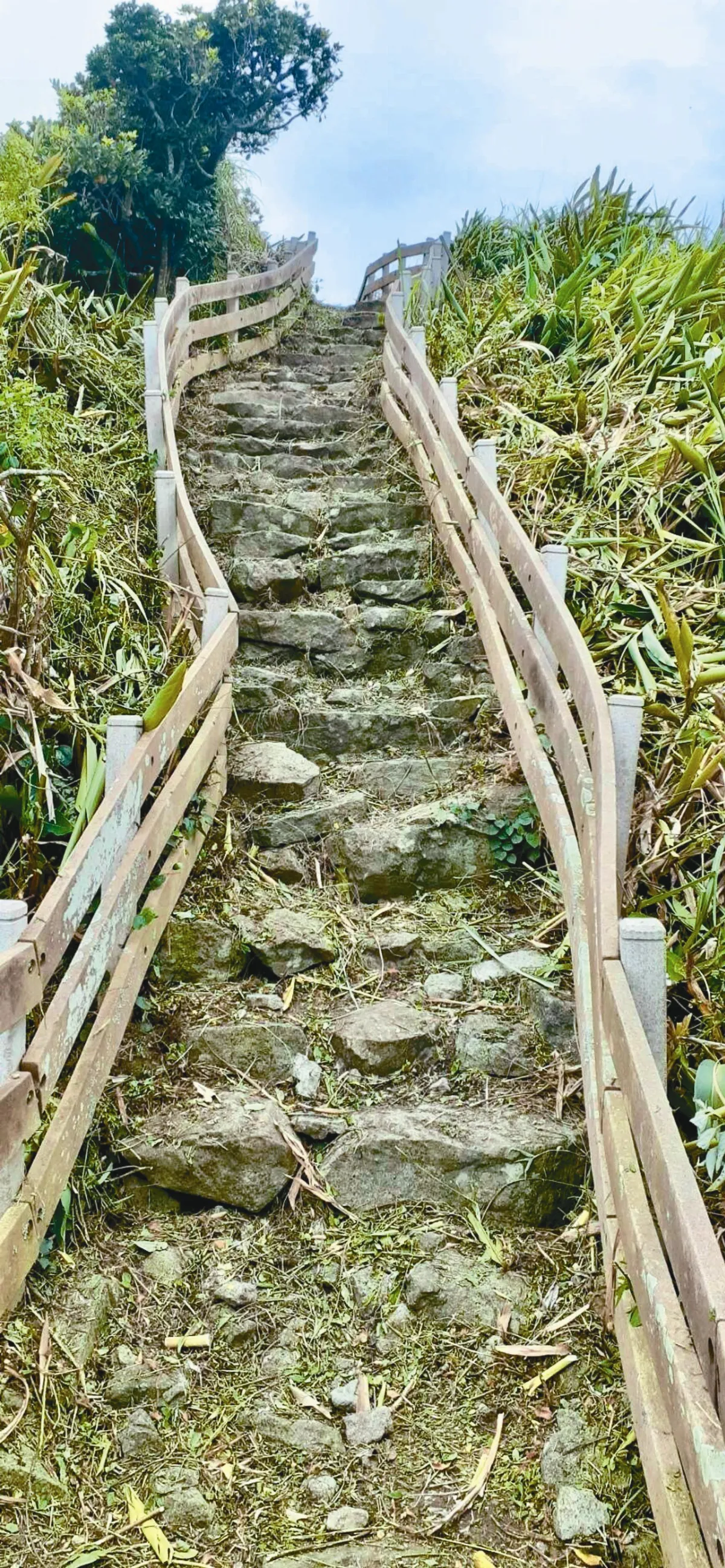 義工清出步道 遊基隆嶼可攻頂