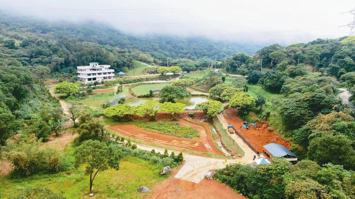 陳琬婷以好生態與蝙蝠在地共好