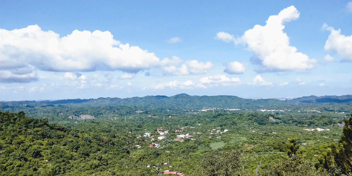 島嶼拼圖 八月桂圓飄香