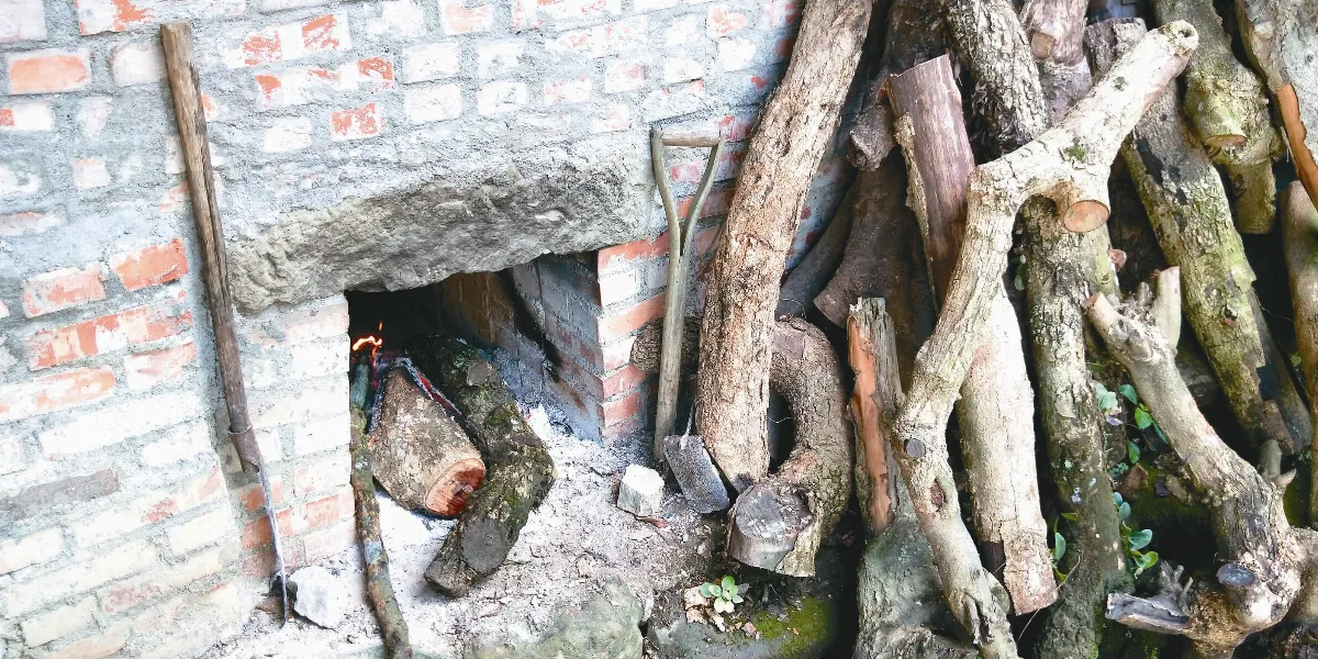 島嶼拼圖 八月桂圓飄香