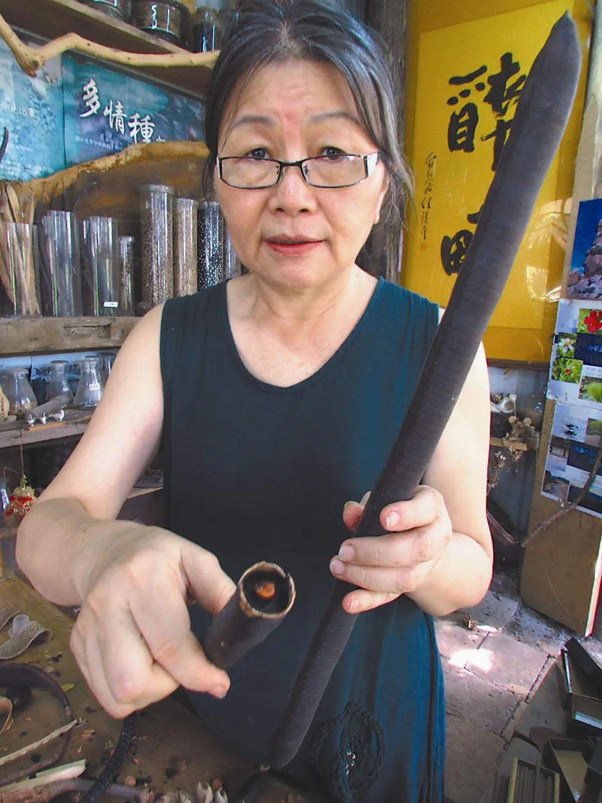 阿勃勒果實 長期食用恐傷肝