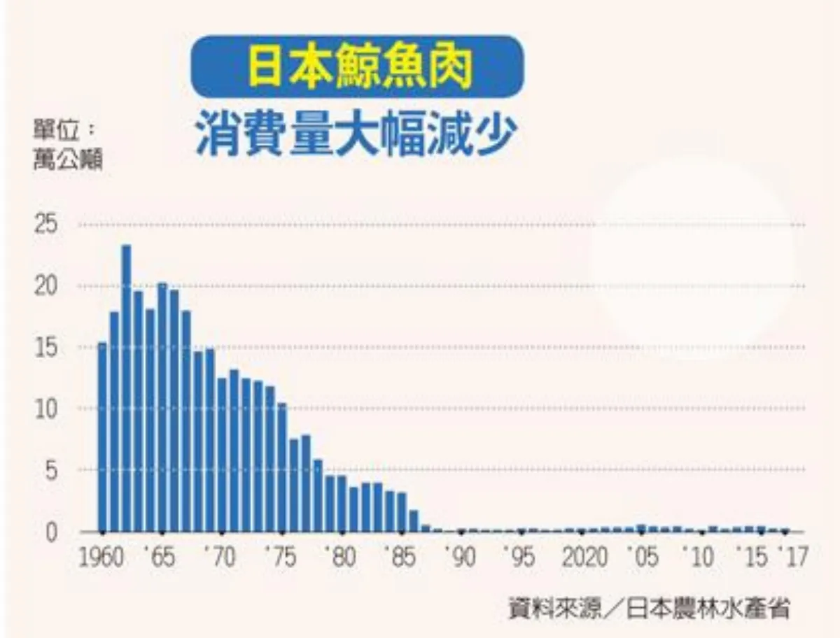 日本恢復捕鯨 掩護其他捕撈行為