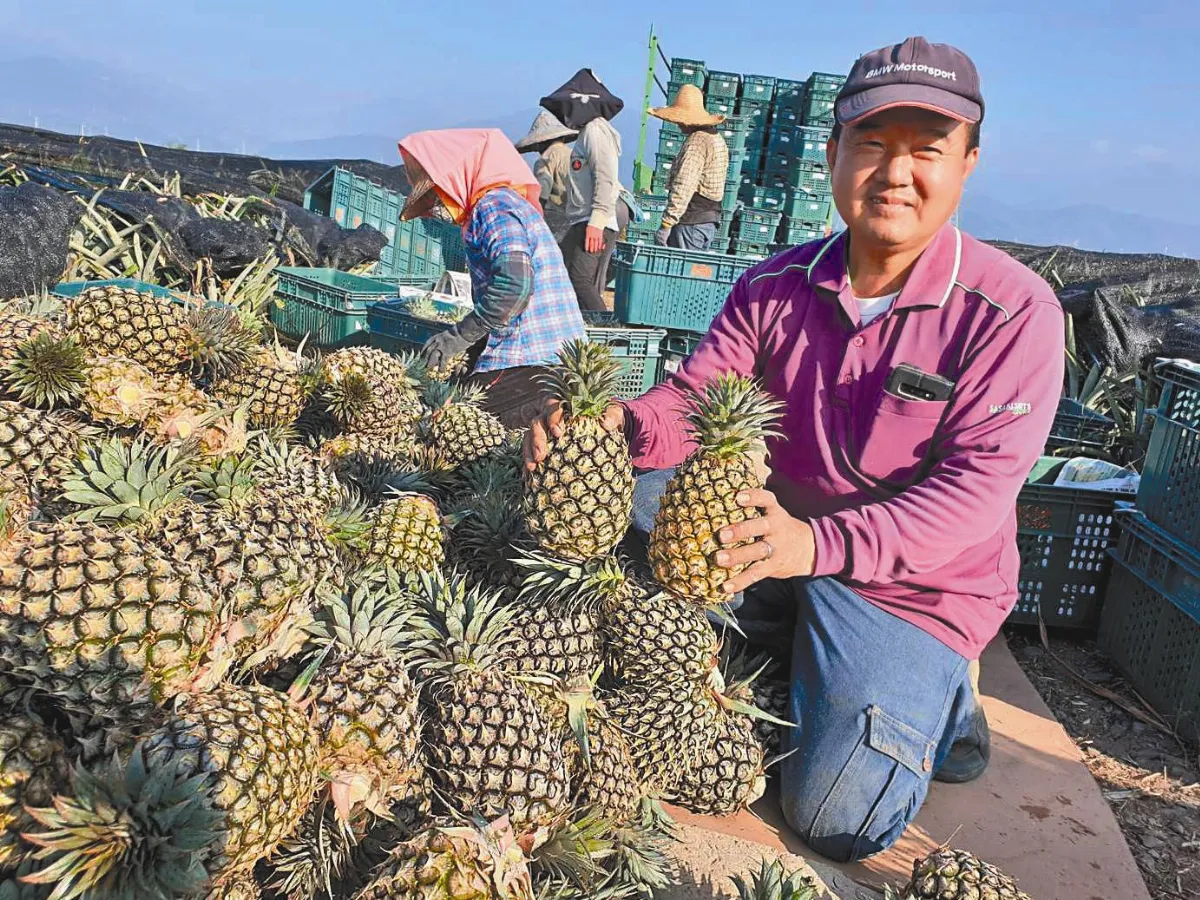 農產銷陸 衰退26%