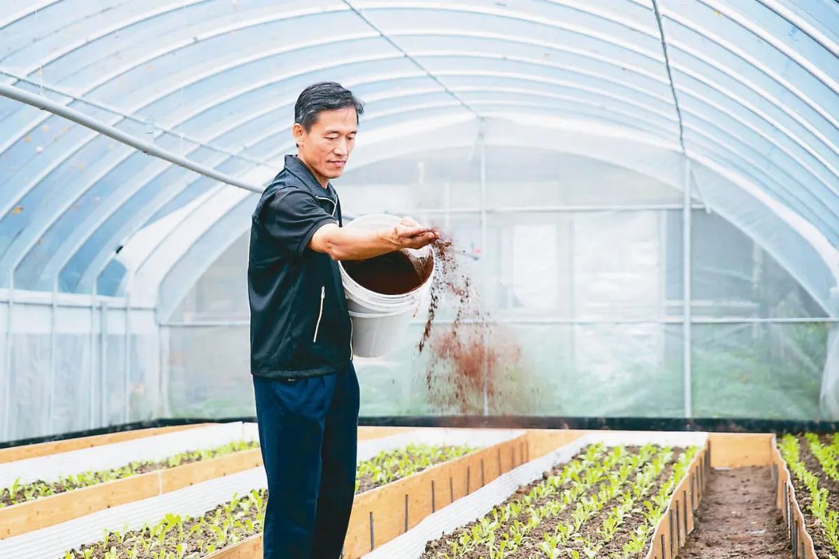 咖啡渣妙用 驅蟲還能當堆肥