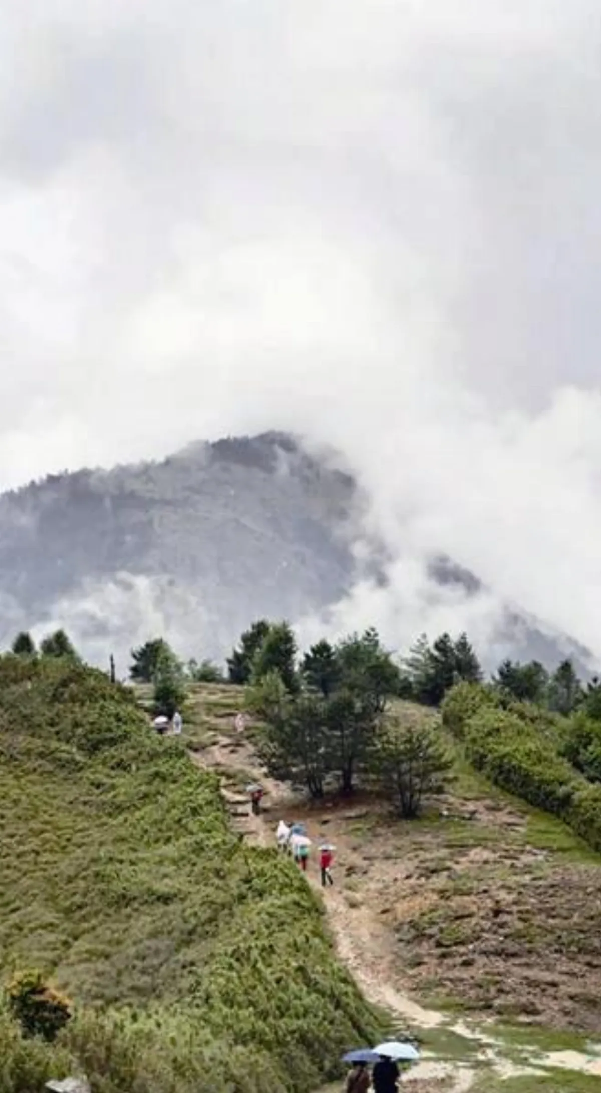 走進大自然 也無風雨也無晴