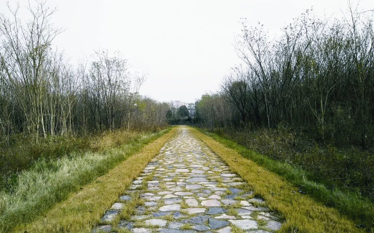 我行遲遲 顛簸的無明