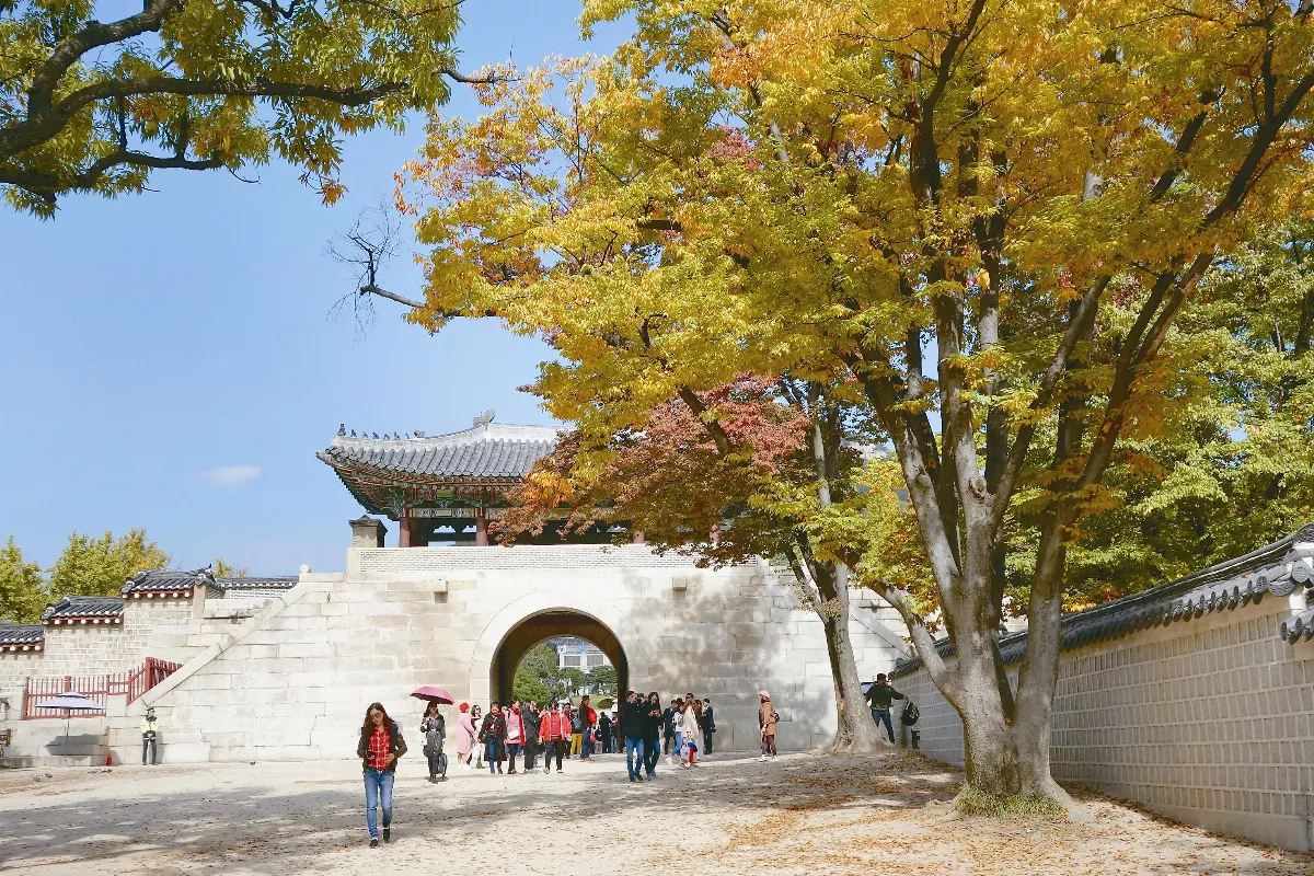 海闊天空 與母同遊上 18旅行風vs. 68旅行瘋