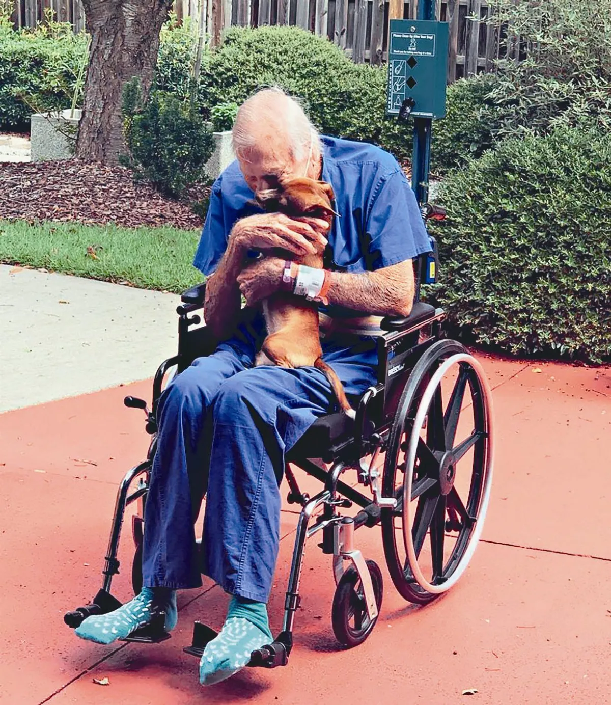 飼主中風 愛犬向友人求救
