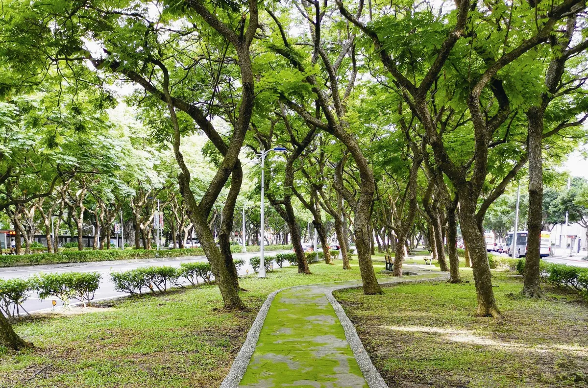 城市快門 主題徵文 7-8月 青苔小徑
