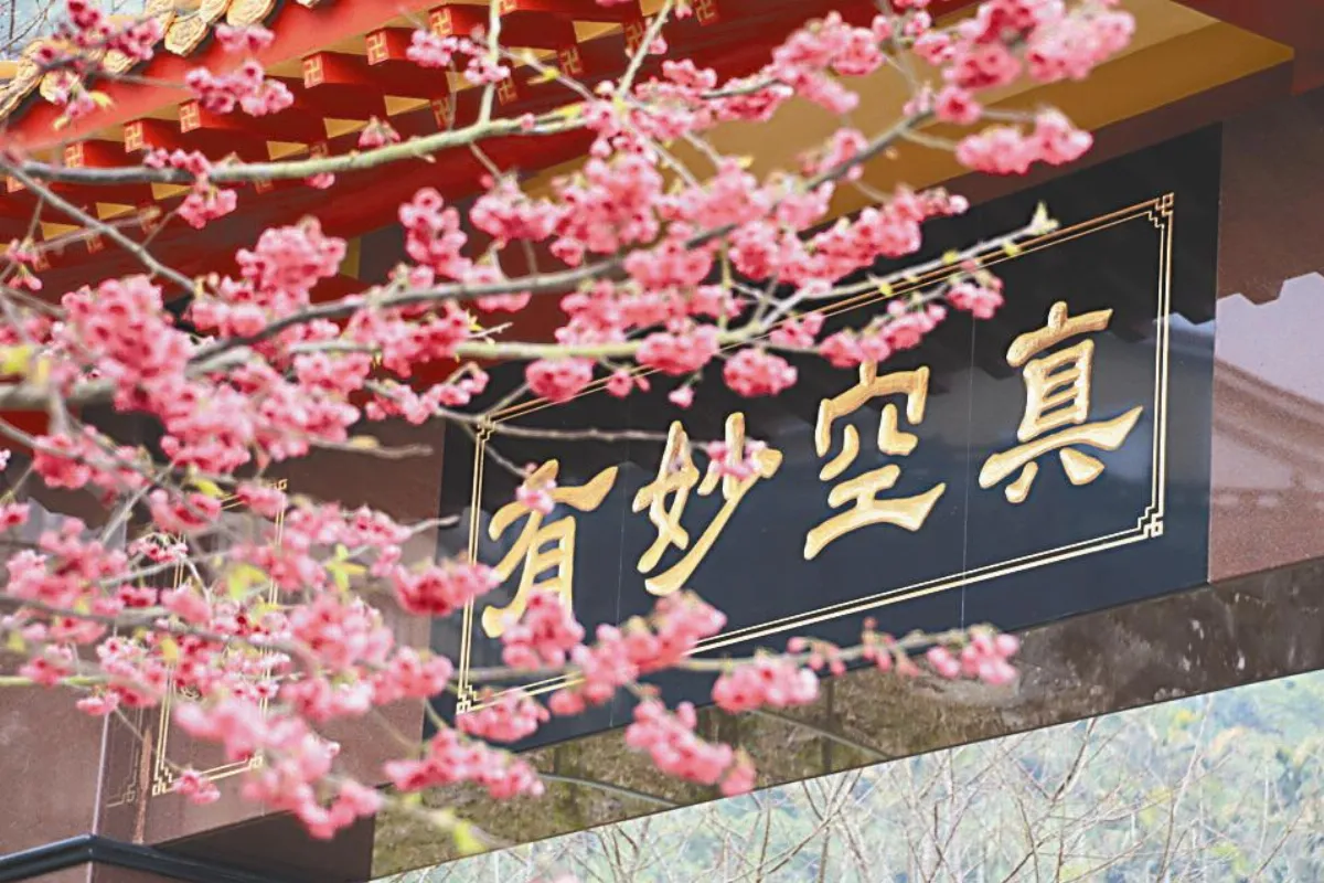 隨堂開示錄-集會共修 21 佛光四句偈的意涵2-2