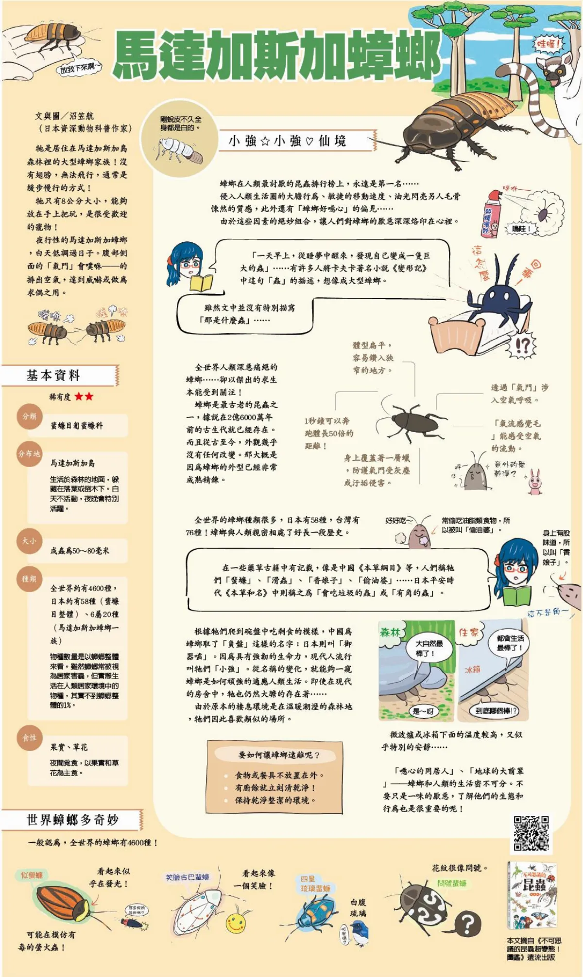 馬達加斯加蟑螂