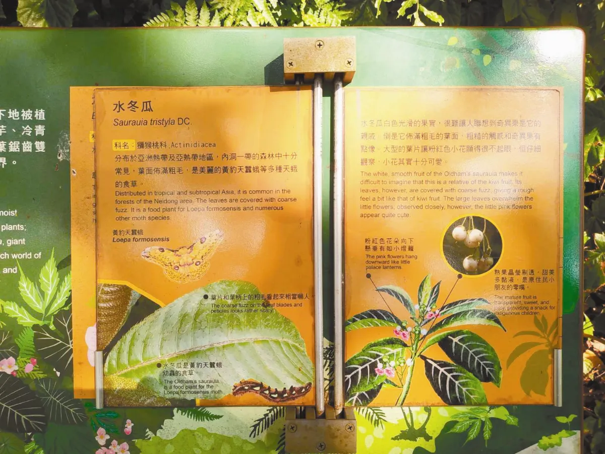 生活快門 可翻式解說牌