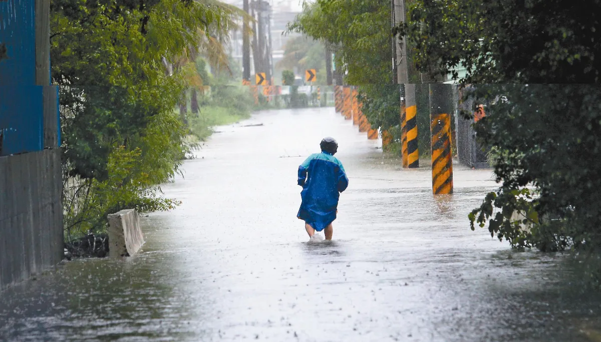 雨又下錯地方   平地「滿水位」水庫幾無進帳