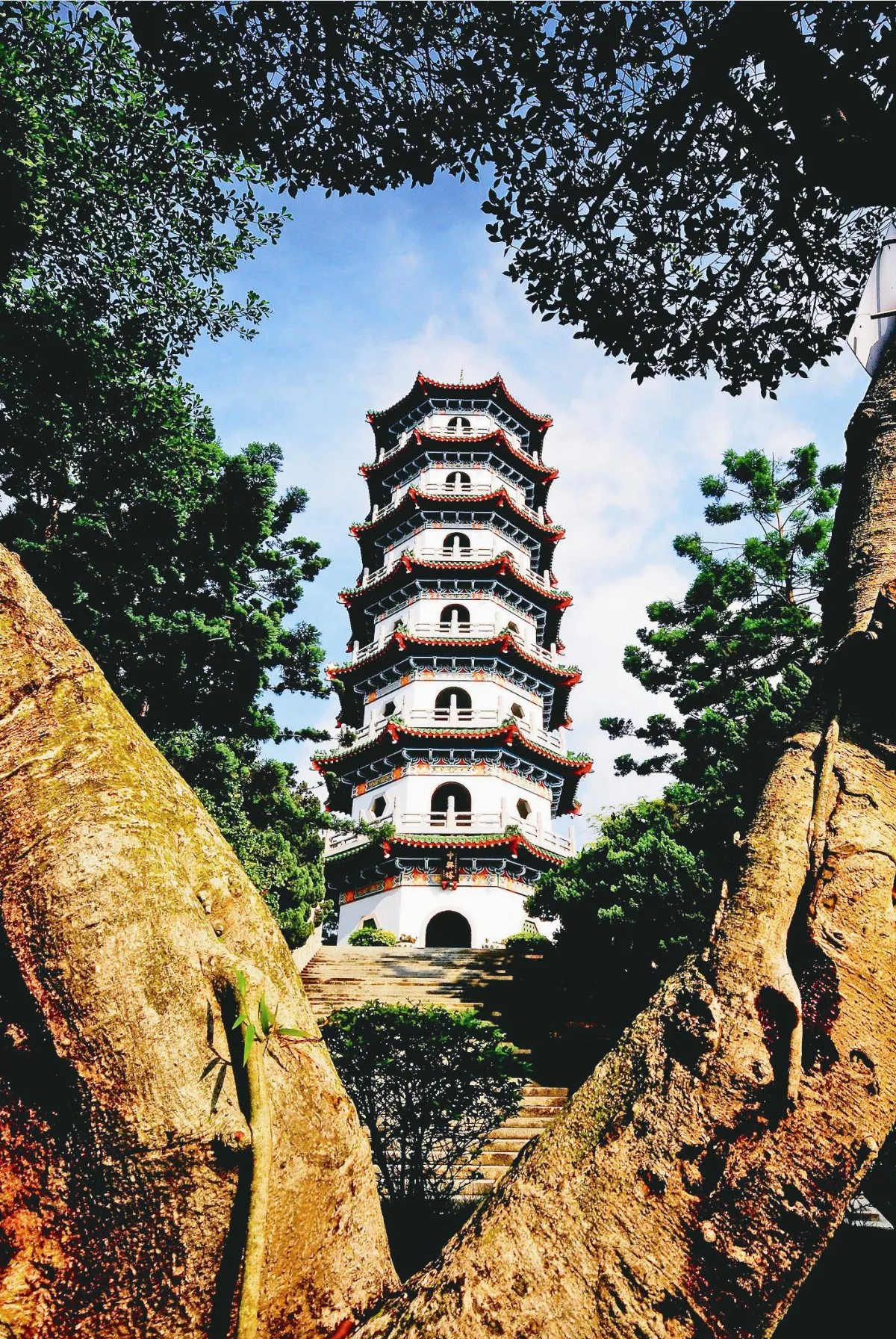 慶開園一甲子 高雄澄清湖 9月1日免費入園