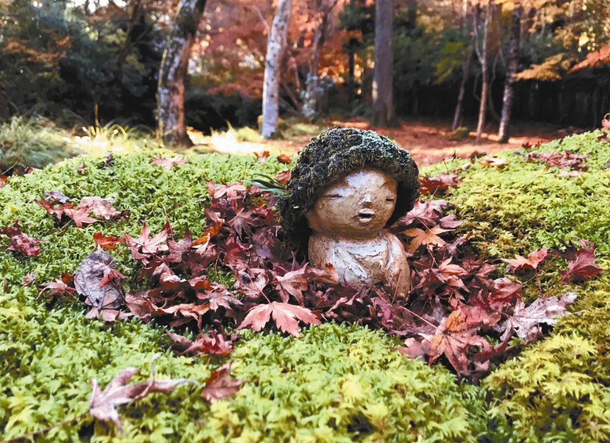 【生命畫語】一日一生