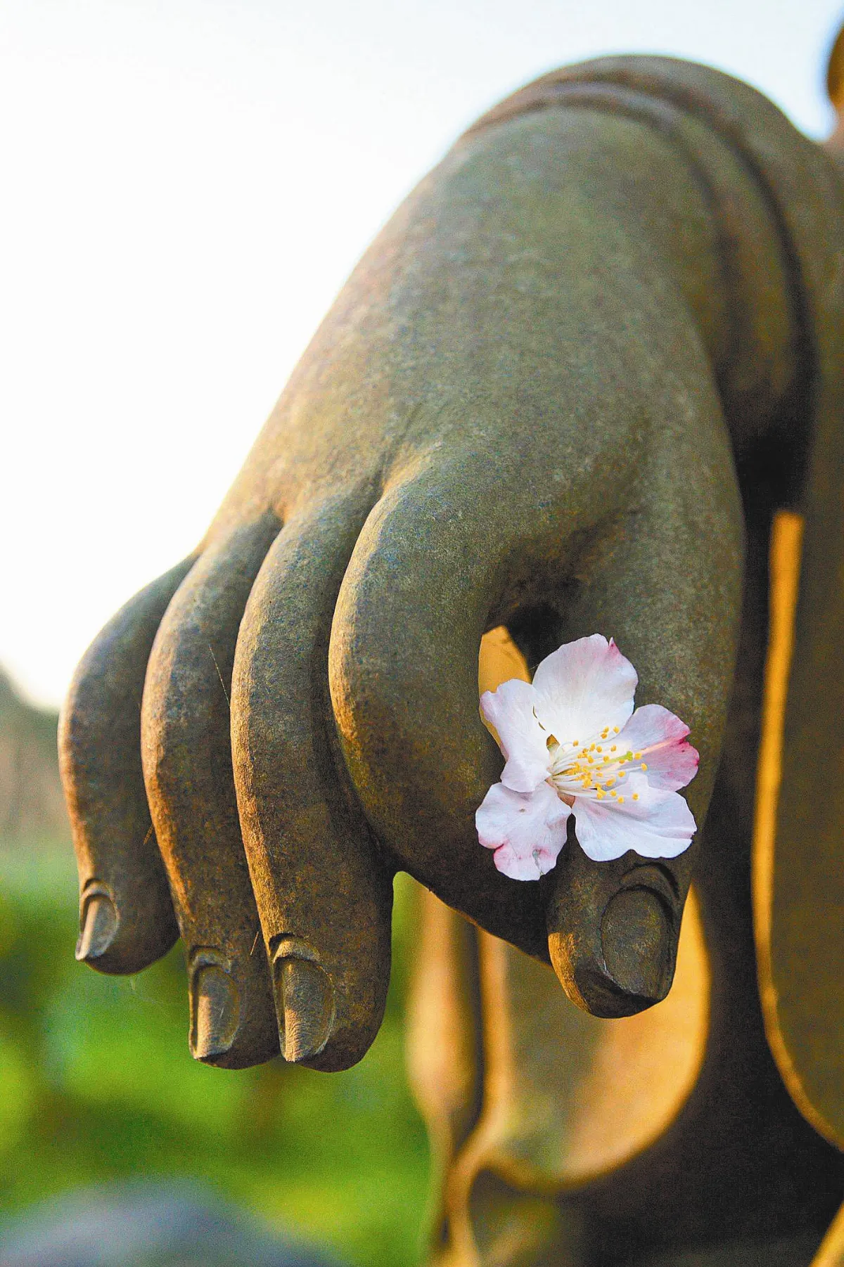 隨堂開示錄-集會共修 25 人生百事（節選） 3-2