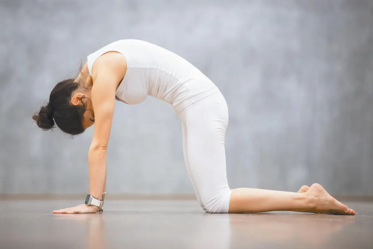 6伸展動作 有效緩解下背痛