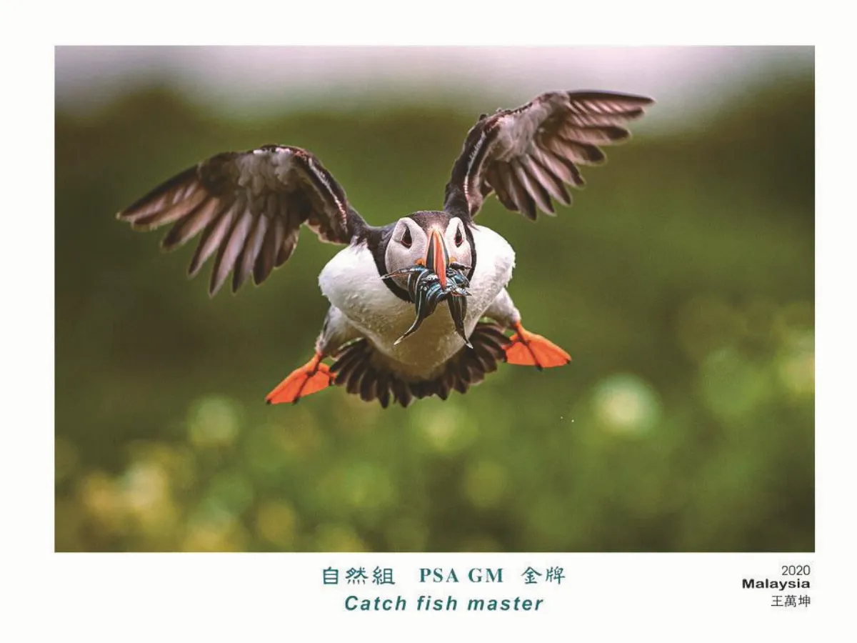 台中國際攝影展  窺台灣之美
