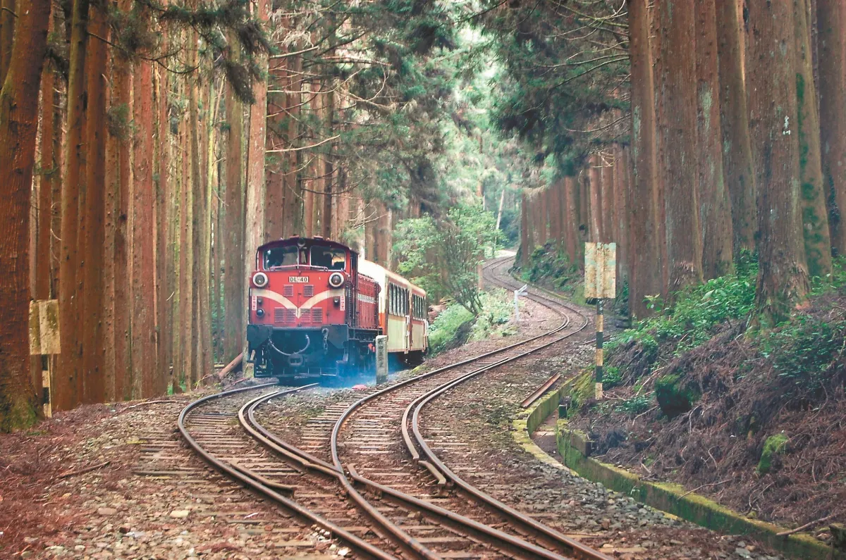 阿里山林鐵 讓鐵漢柔情守護