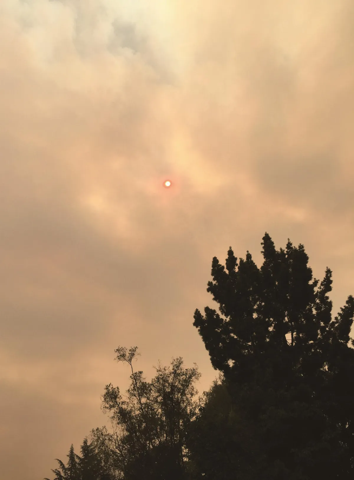 9-10月 主題徵文 寫信 血色日頭