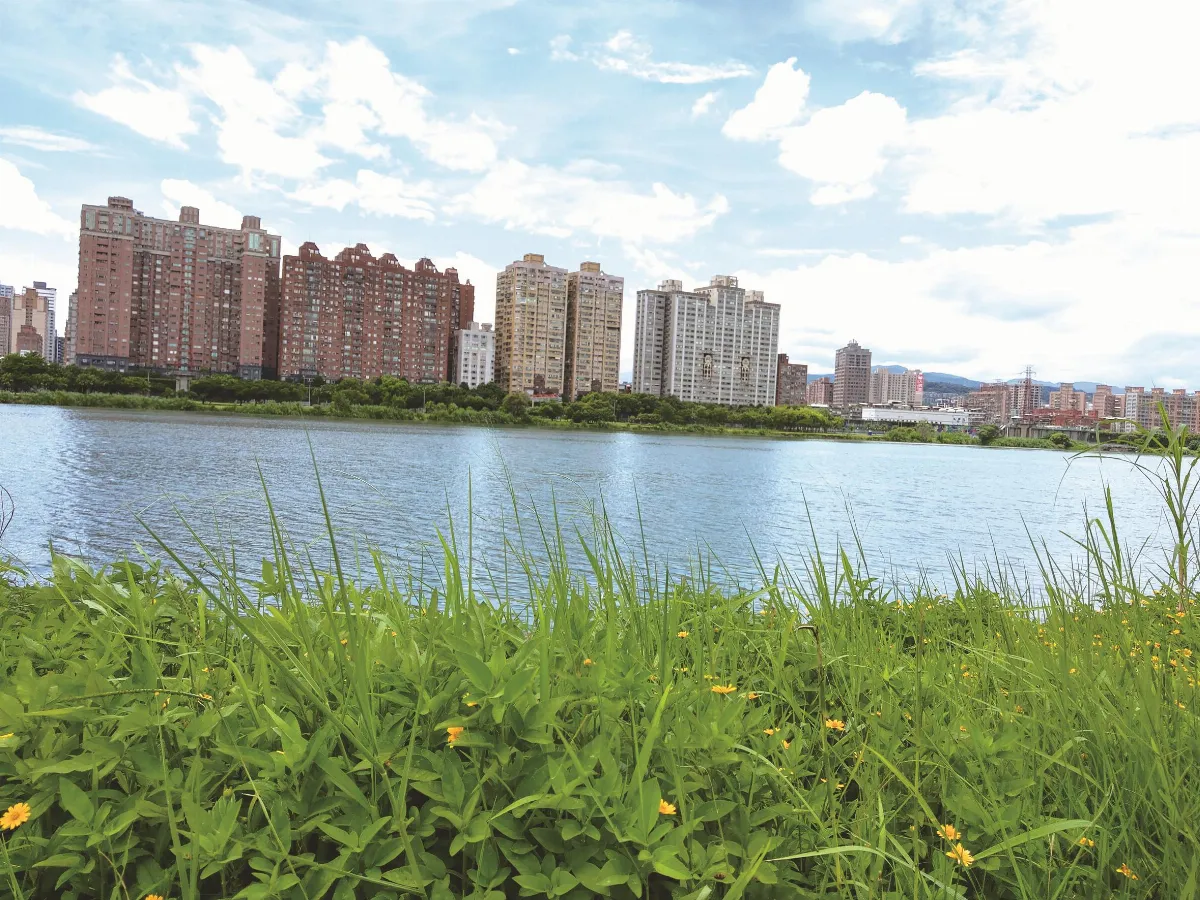 小詩文 仲夏，水岸 ——中正河濱公園即景