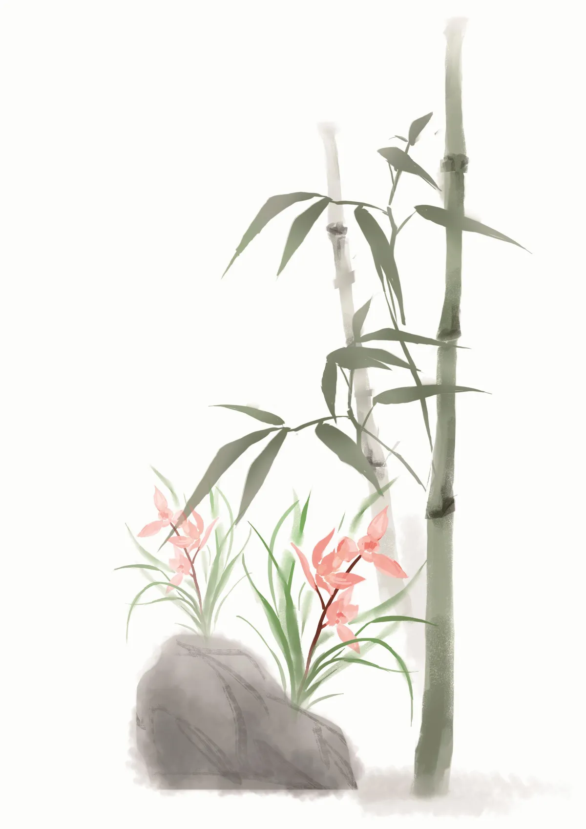 蘭花的發