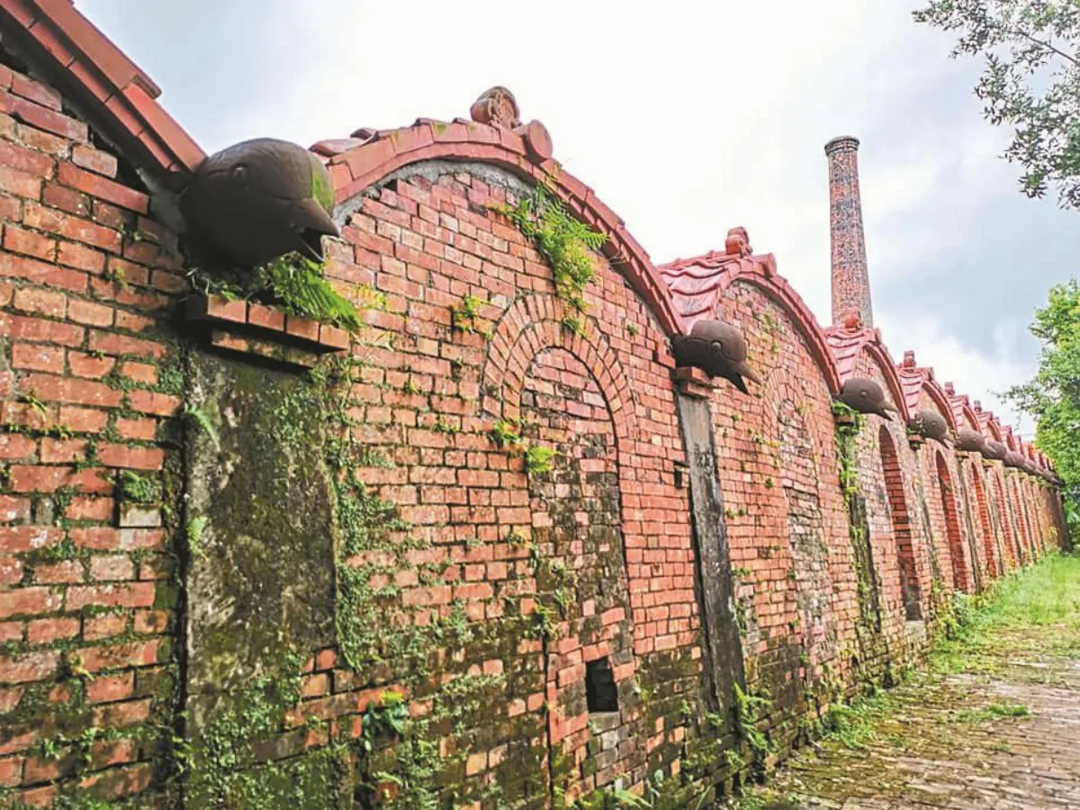 【走讀鄉土】百年歷史幽情 宜蘭磚窯