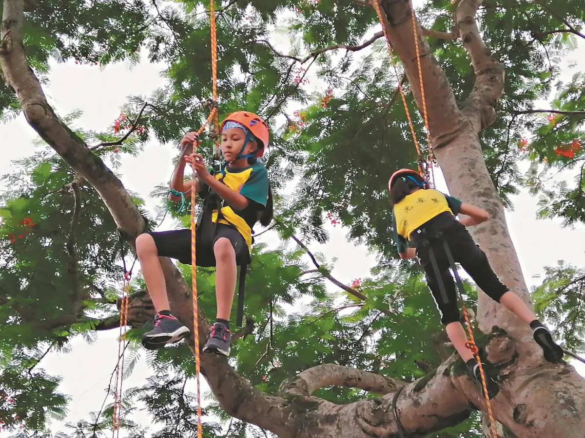 蘭陽佛光童軍 攀樹挑戰自我