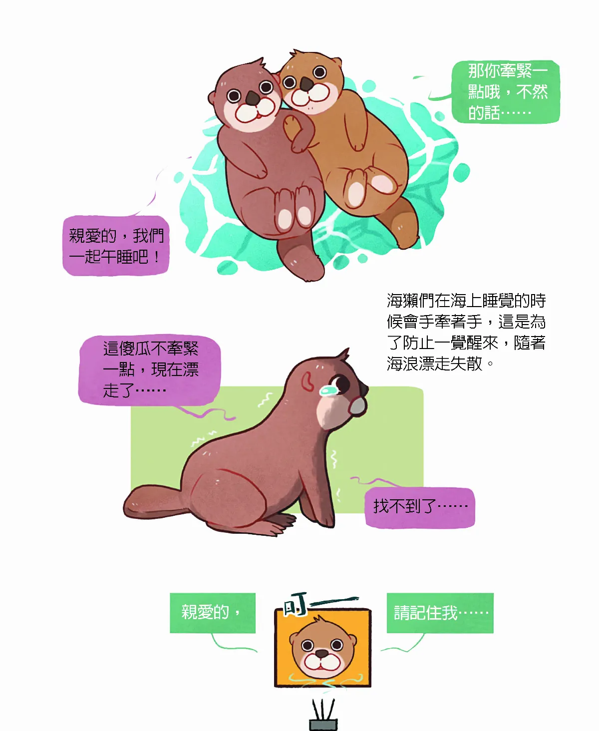 你不知道的科普冷知識 海獺會手牽手睡覺