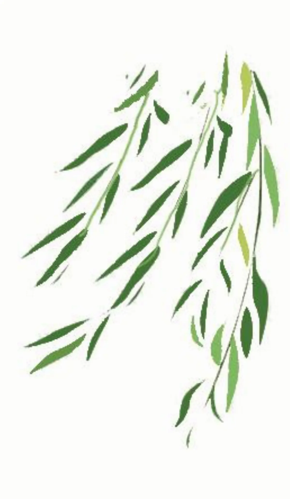 法華經觀世音菩薩 普門品講話2 ╱第二、三章╱  妙法蓮華經釋名
