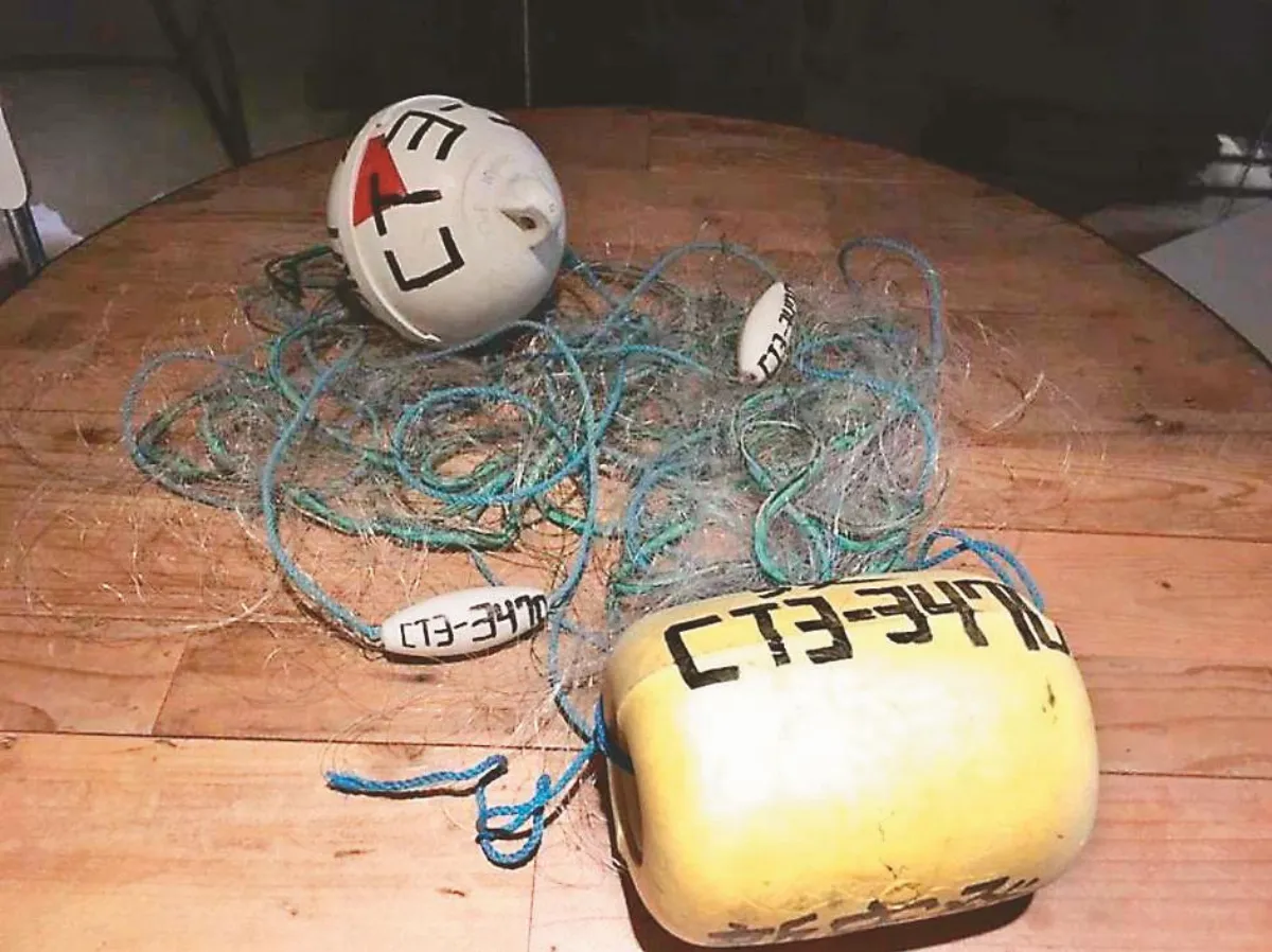 纏繞鯨豚奪命凶手 台灣第1本 廢棄漁具圖鑑誕生