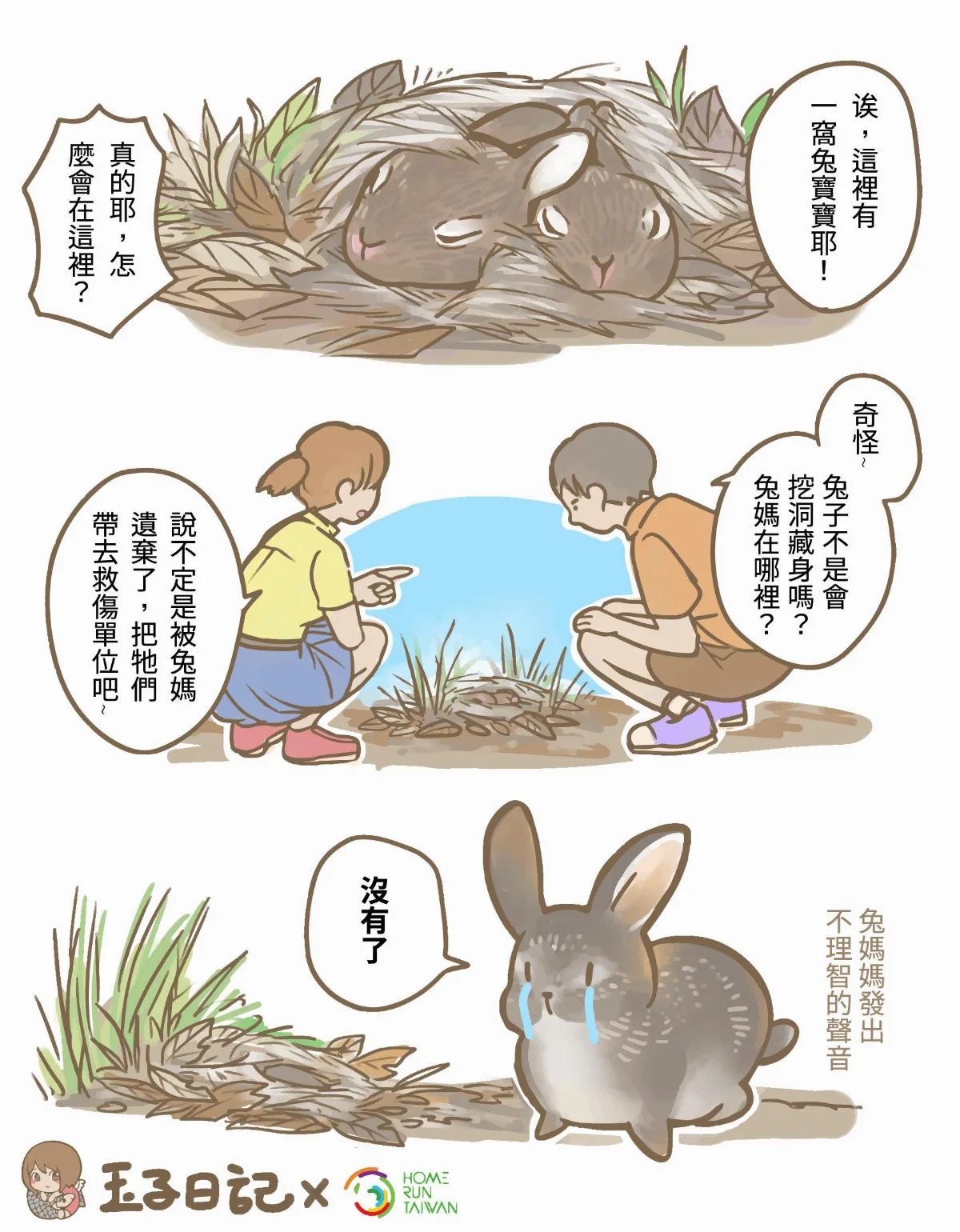 玉子手札 台灣野兔