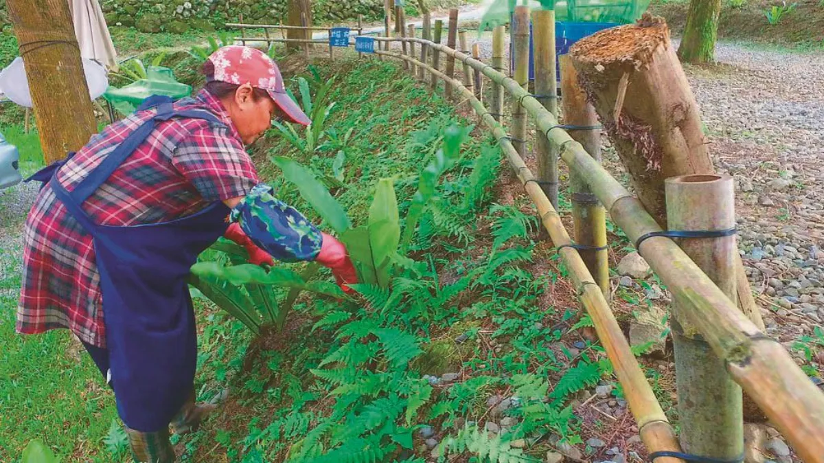 露營活動夯 應兼顧安全和環保