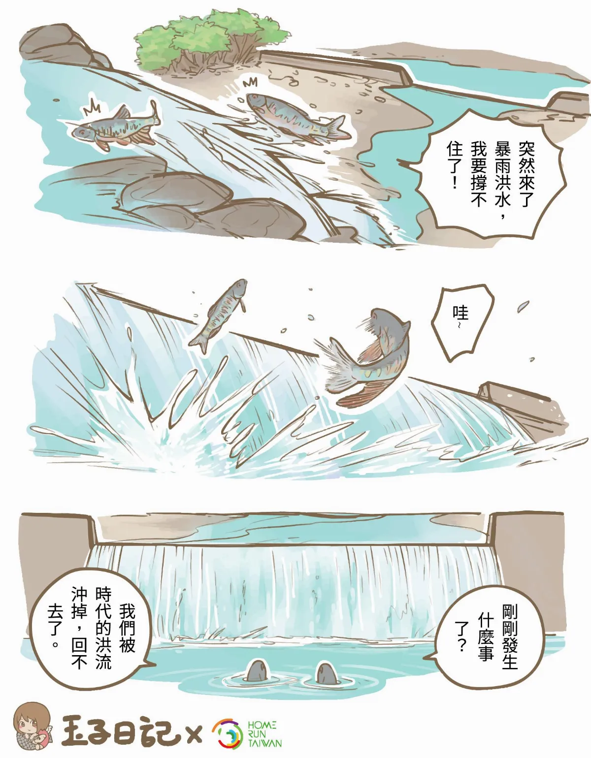 玉子手札  溪流生物  因人類失去家園